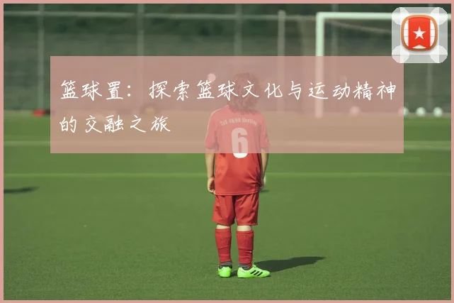 篮球置：探索篮球文化与运动精神的交融之旅