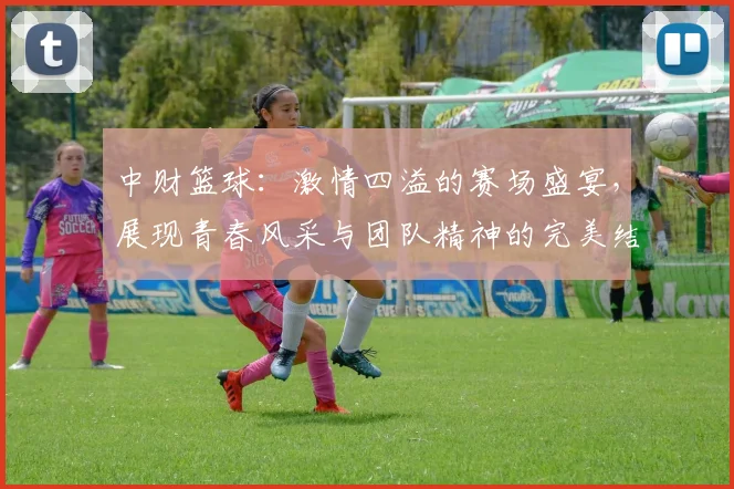 中财篮球：激情四溢的赛场盛宴，展现青春风采与团队精神的完美结合