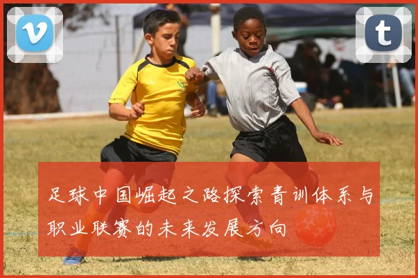 足球中国崛起之路探索青训体系与职业联赛的未来发展方向